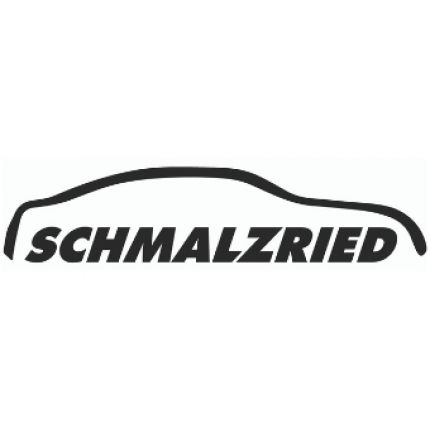 Logotipo de Schmalzried GmbH