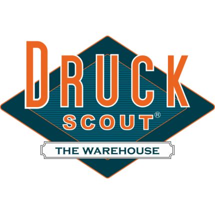 Logo from Druck-Scout