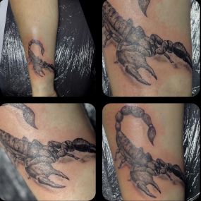 Bild von Tattoo Art Chemnitz-TATTOO ART PIERCING