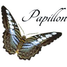 Bild/Logo von Papillon Mode Boutique in Reutlingen