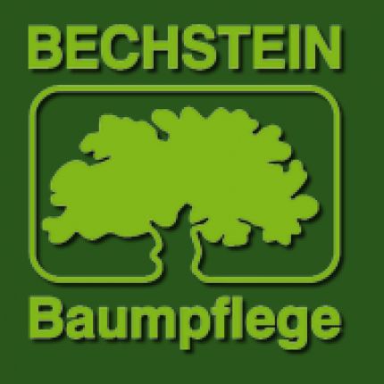 Logo fra Bechstein Baumpflege GmbH