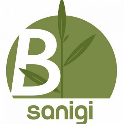 Logotipo de Sanigi Naturheilpraxis Yvonne Bayer
