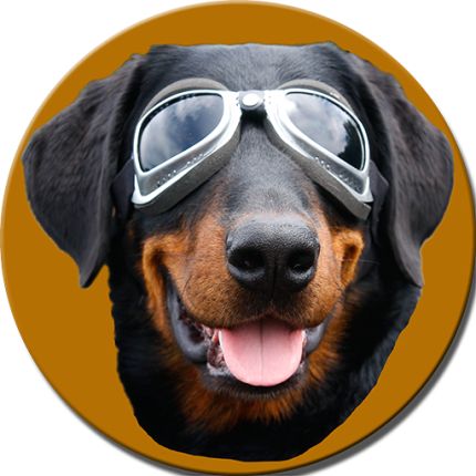 Logotipo de My Dog Pix - Hundefotograf - Tobias Eble