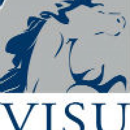Logo from Visuprojekt GmbH