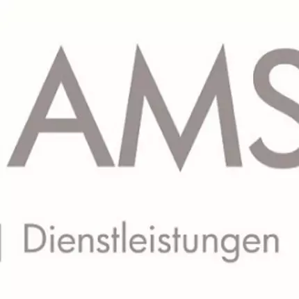 Logotyp från NAMSO GmbH