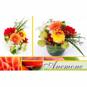 Bild von Blumen Anemone