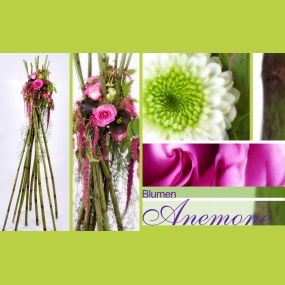 Bild von Blumen Anemone