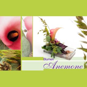 Bild von Blumen Anemone