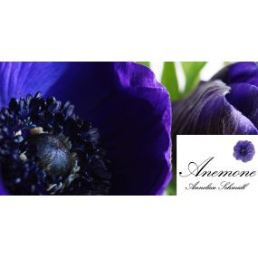 Bild von Blumen Anemone