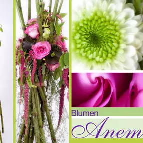 Bild von Blumen Anemone