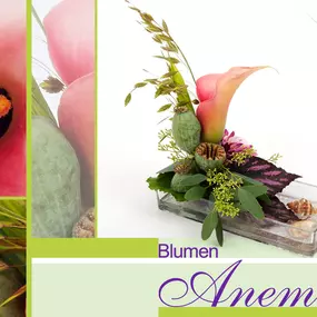 Bild von Blumen Anemone