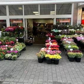 Bild von Gebr. Oostdam Blumen