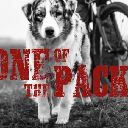 Logo de One Of The Pack