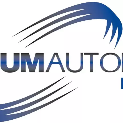 Logo fra Premium Autopflege Rendsburg