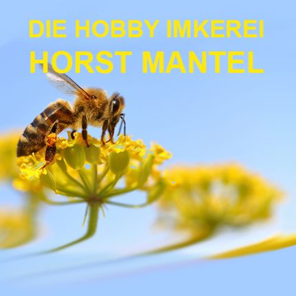 Logo von Hobby Imkerei Horst Mantel