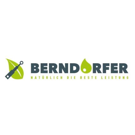 Logo van Berndorfer GmbH