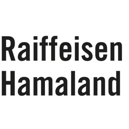 Logo von Raiffeisen Hohe Mark Hamaland eG - Raiffeisen-Markt Heiden mit SB-Tankstelle