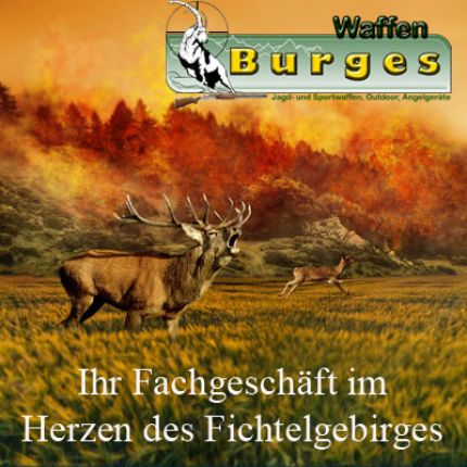 Logo van Waffen Burges