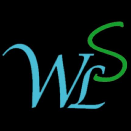 Logo de Waterless Shine