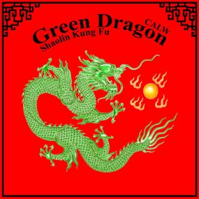 Bild von Green Dragon Shaolin Kung Fu