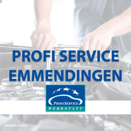 Logotipo de Profi Service Emmendingen