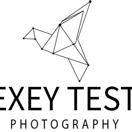 Logo von Alexey Testov Hochzeitsfotografie