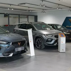 Bild von Auto Epple GmbH – CUPRA, SEAT, OPEL & VW-Service in Rutesheim