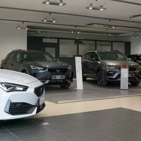 Bild von Auto Epple GmbH – CUPRA, SEAT, OPEL & VW-Service in Rutesheim