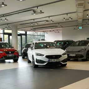 Bild von Auto Epple GmbH – CUPRA, SEAT, OPEL & VW-Service in Rutesheim