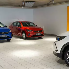 Bild von Auto Epple GmbH – CUPRA, SEAT, OPEL & VW-Service in Rutesheim