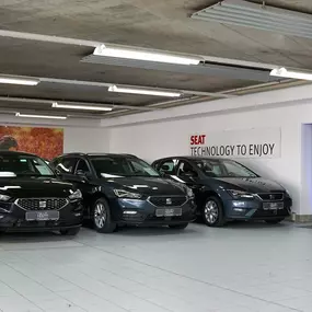 Bild von Auto Epple GmbH – CUPRA, SEAT, OPEL & VW-Service in Rutesheim