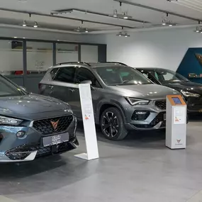 Bild von Auto Epple GmbH – CUPRA, SEAT, OPEL & VW-Service in Rutesheim