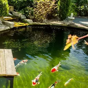 Bild von Kölle Zoo Weiterstadt