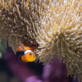 Bild von Kölle Zoo Karlsruhe