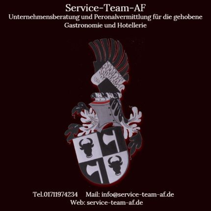 Logo da Service-Team-AF