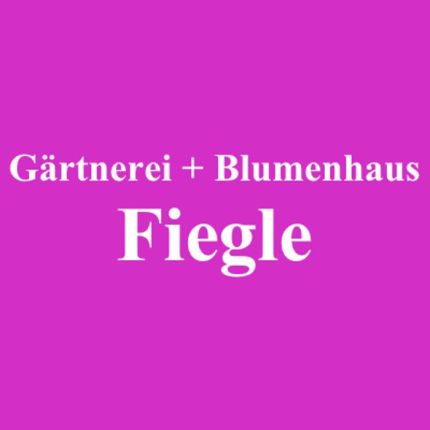 Logótipo de Fiegle Gärtnerei und Blumenhaus