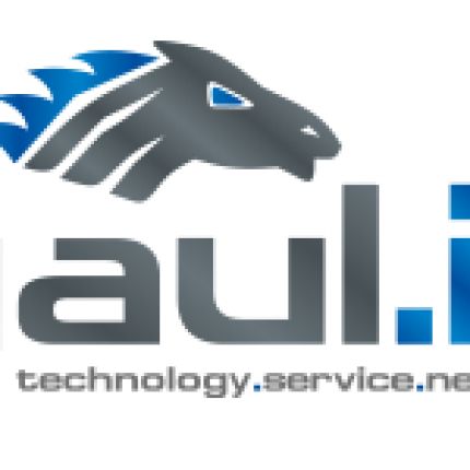 Logo from GAUL.IT