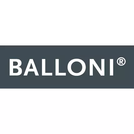 Logo from BALLONI Deko Shop