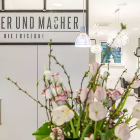 Dammer & Macher - Die Friseure Düsseldorf