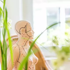 Dr. Christian Windelen und Partner. Frauenarzt in Köln - Südstadt