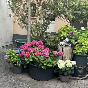 Bild von Gästehaus Priester Inh. Rosemarie Schormann