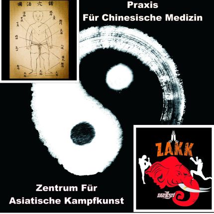 Logótipo de Daniel Himmelreich Heilpraktiker, Praxis für Chinesische Medizin