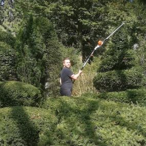 Friedhofsgärtnerei & Gartenpflege Hasenberg Köln