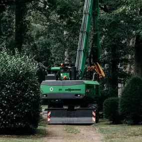 ArborCare·ca professioneller Baumdienst/Baumpflege/Seilklettertechnik Bonn