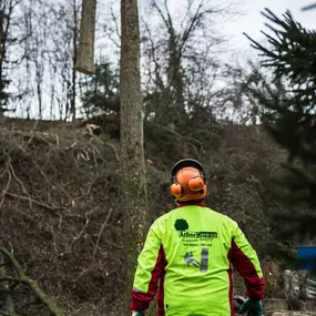 ArborCare·ca professioneller Baumdienst/Baumpflege/Seilklettertechnik Bonn