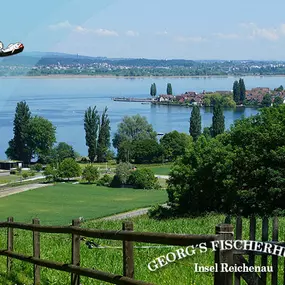 Georg's Fischerhütte, Reichenau, Fischrestaurant, Terrasse, Seeblick, Restaurant, Gaststätte, frischer Fisch, Fangfrisch, Bodenseefisch, Fisch essen gehen, Abendessen, Mittagstisch