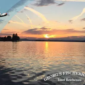 Georg's Fischerhütte, Reichenau, Fischrestaurant, Terrasse, Seeblick, Restaurant, Gaststätte, frischer Fisch, Fangfrisch, Bodenseefisch, Fisch essen gehen, Abendessen, Mittagstisch