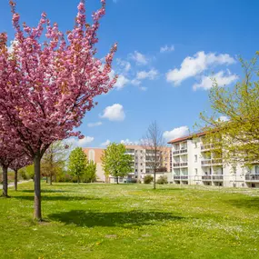 Bild von Wohnungsgenossenschaft Einheit Calbe eG