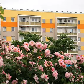 Bild von Wohnungsgenossenschaft Einheit Calbe eG