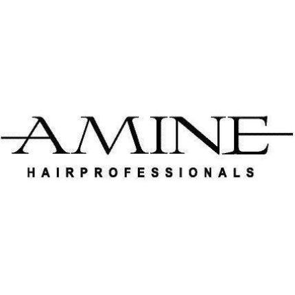 Logotyp från AMINE Hairprofessionals
